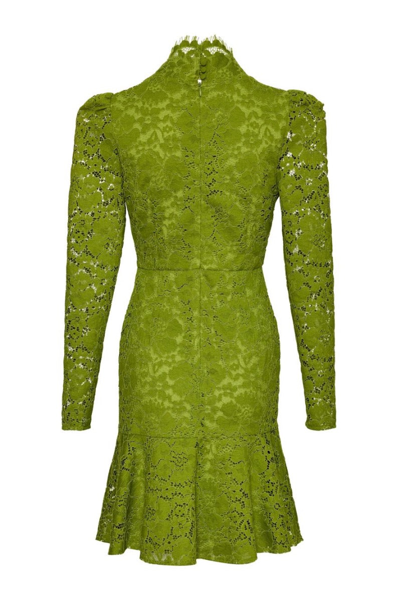 Kameya DRESS GREEN ECRU_25W40662