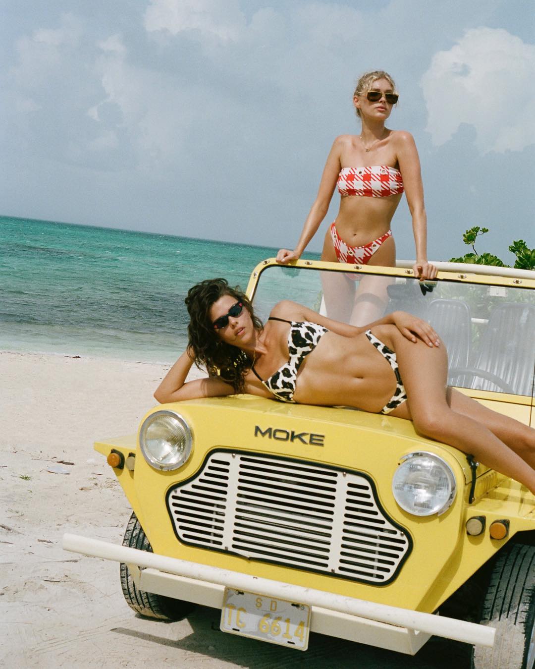 Solid & Striped The Eva Bikini - Big Leopard