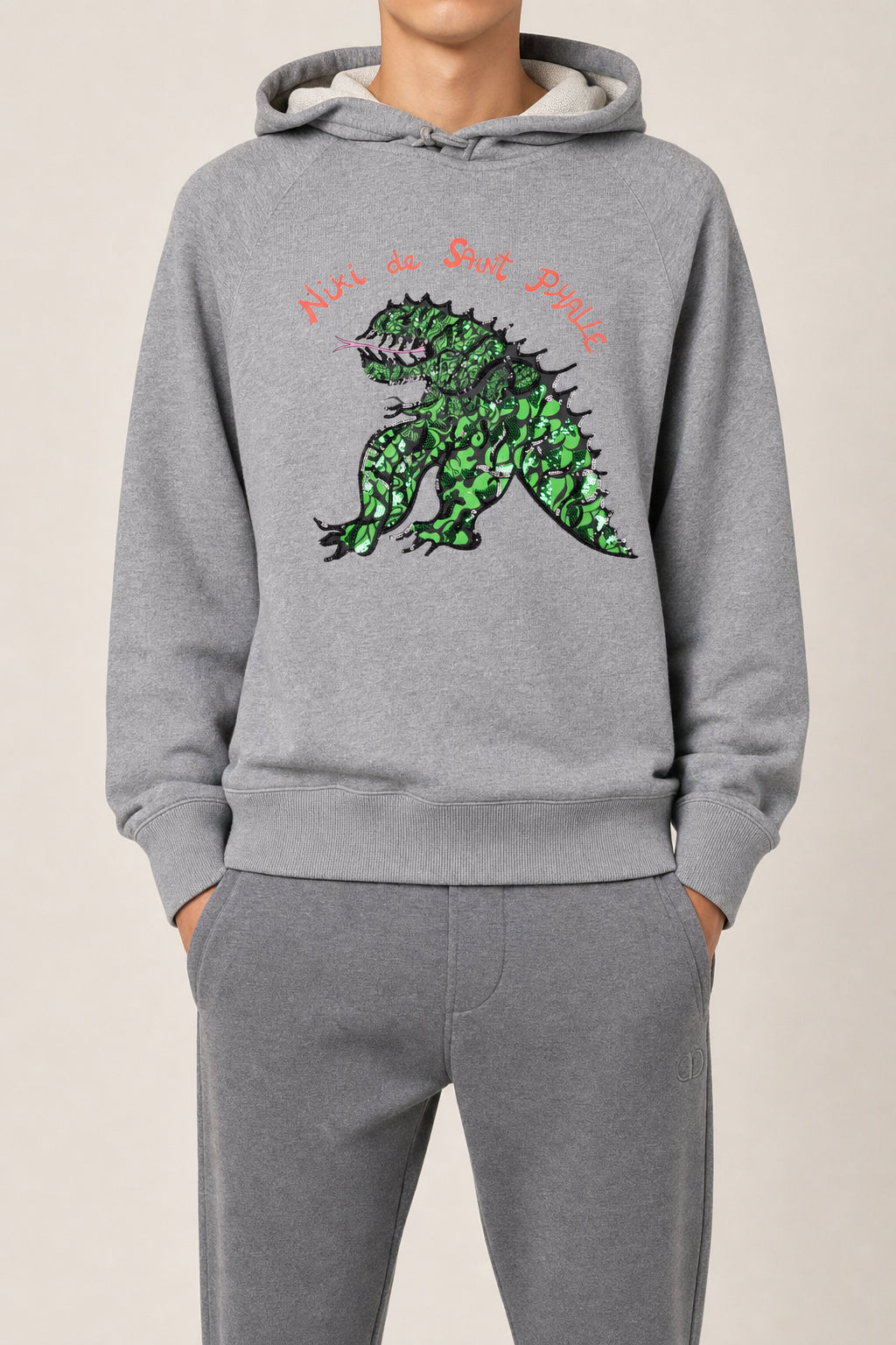 DIOR MEN'S GREY PRINTED HOODIE