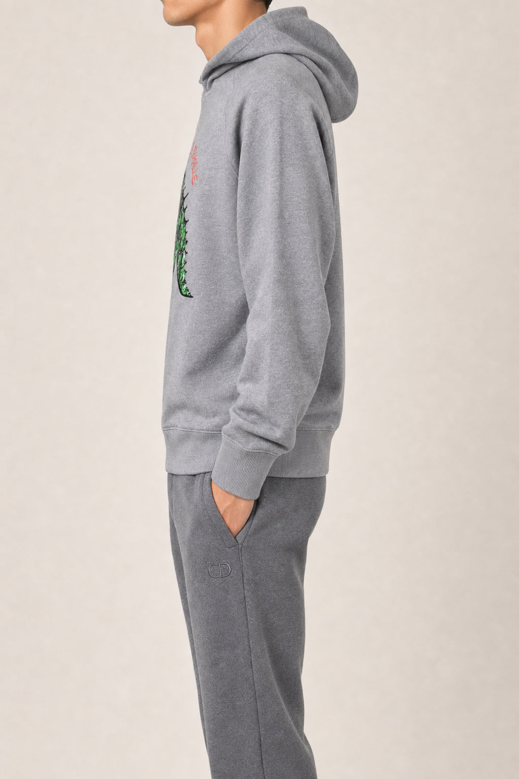 DIOR MEN'S GREY PRINTED HOODIE