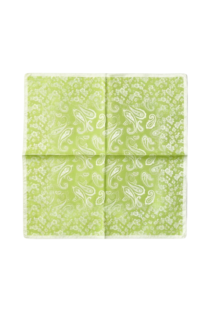 Etro Printed Scarf 1H311 3118 0500