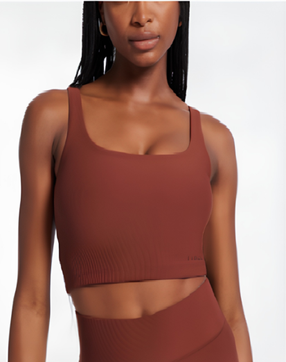 Bandier Rib Tempo Crop Bra Cherry Mahogany BND10195