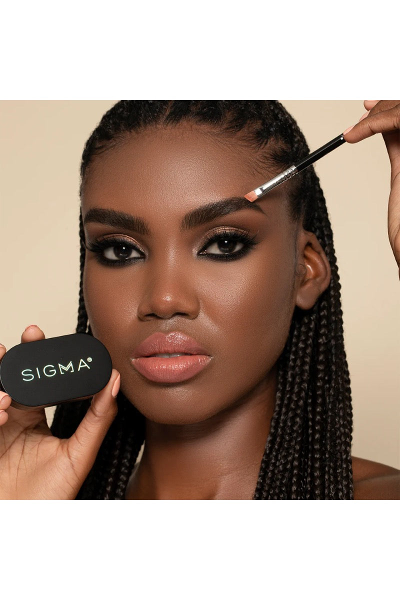 Color + Shape Brow Powder Duo - Dark