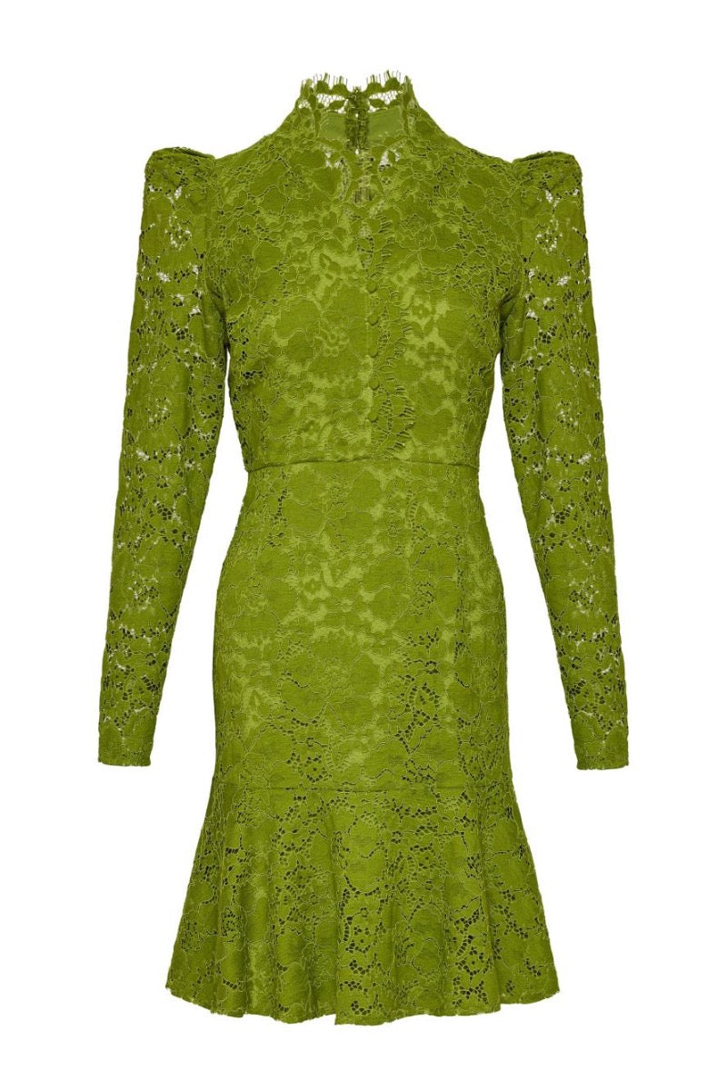 Kameya DRESS GREEN ECRU_25W40662