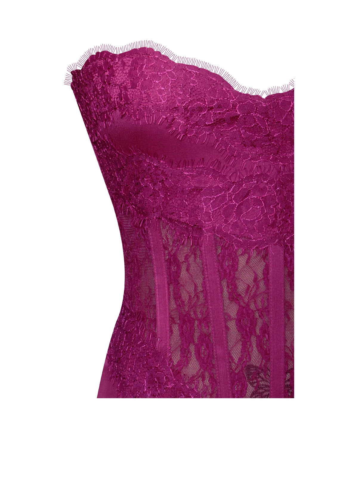 Everleigh Fuchsia Lace Satin Corset Maxi Dress (Archive Sale)