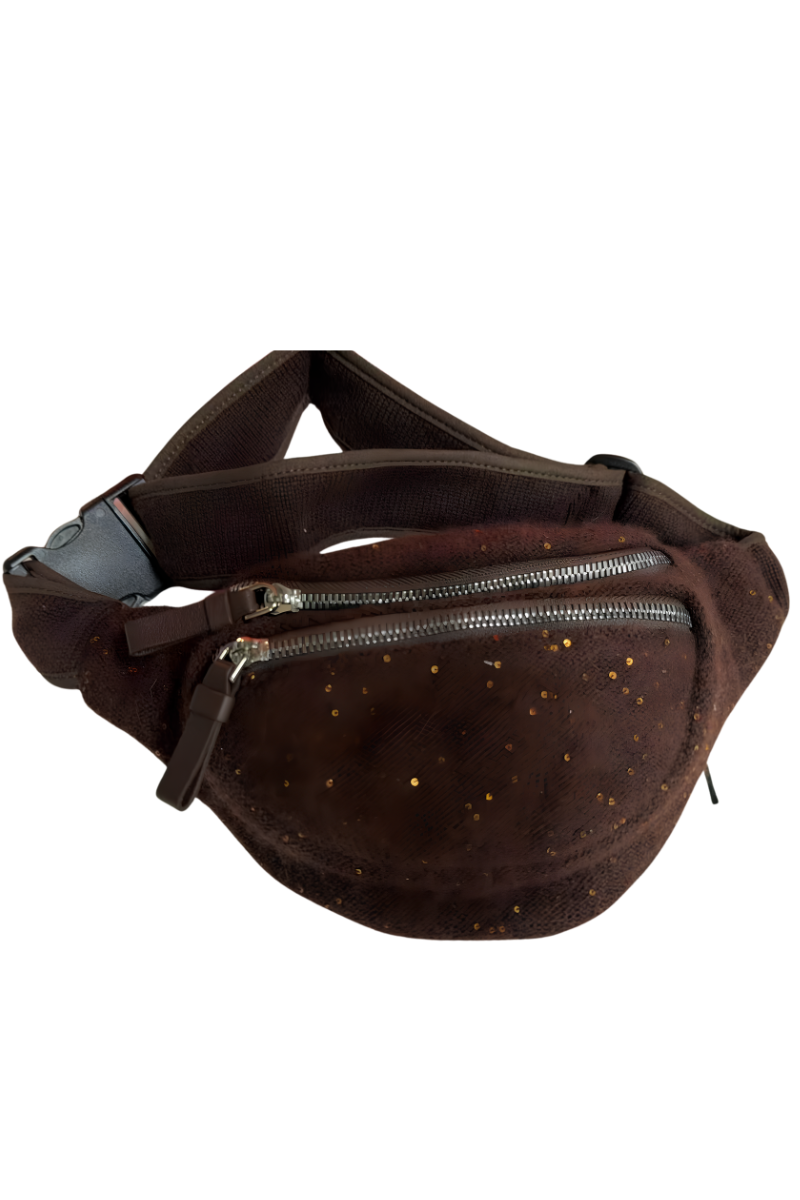 Fabiana Filippi Zipper Waist Bag Brown BGD273A970