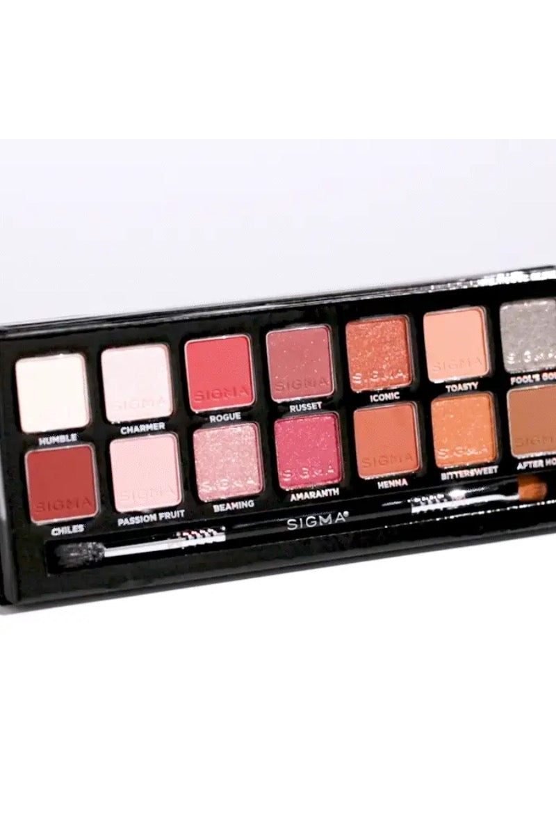 Warm Neutrals Eyeshadow Palette (14 shade)
