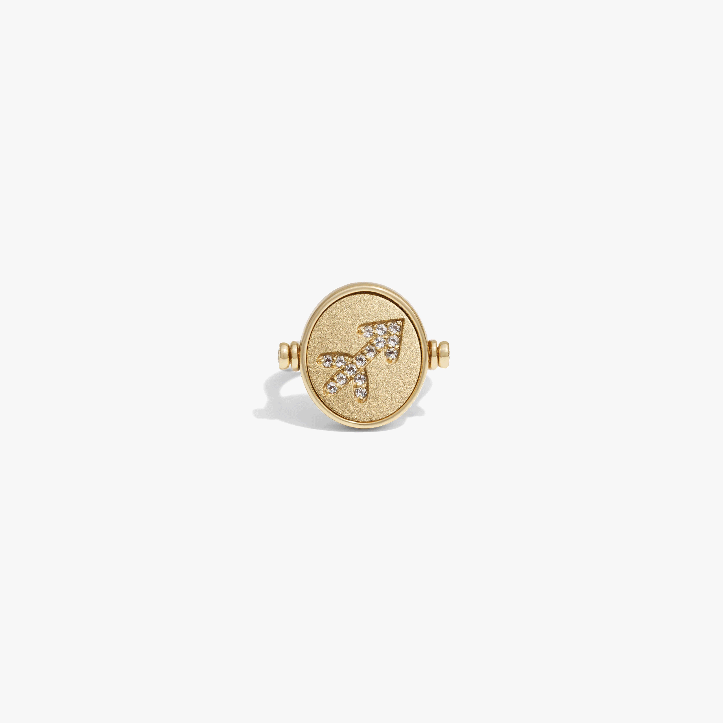 Awe Inspired Rings 14K Gold Vermeil / Sagittarius / 5 Special Offer Zodiac Element Flip Ring