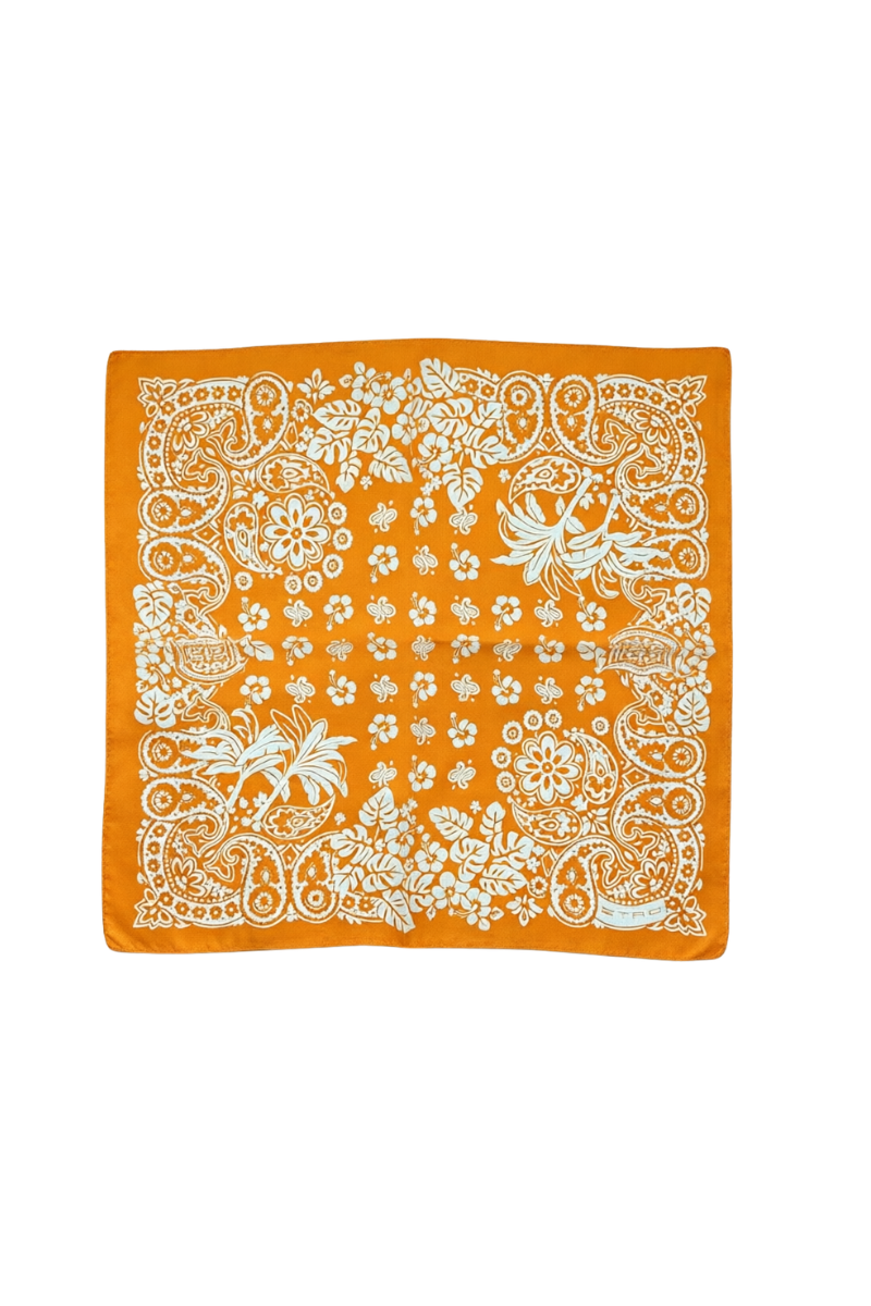 Etro Printed Scarf 1T199 5082 0750